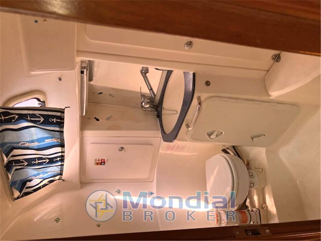 Bavaria 41