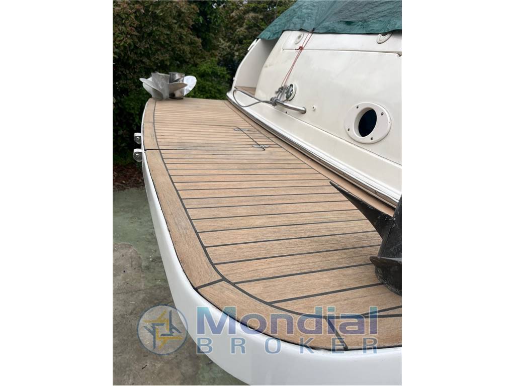 Sea ray 290 sundancer usato