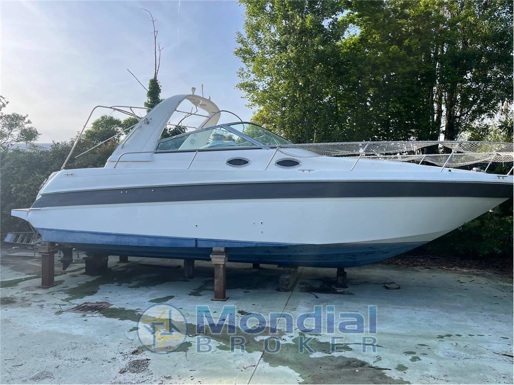 Sea ray 290 sundancer usato