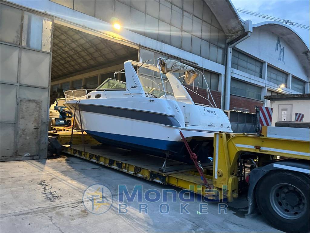 Sea ray 290 sundancer usato