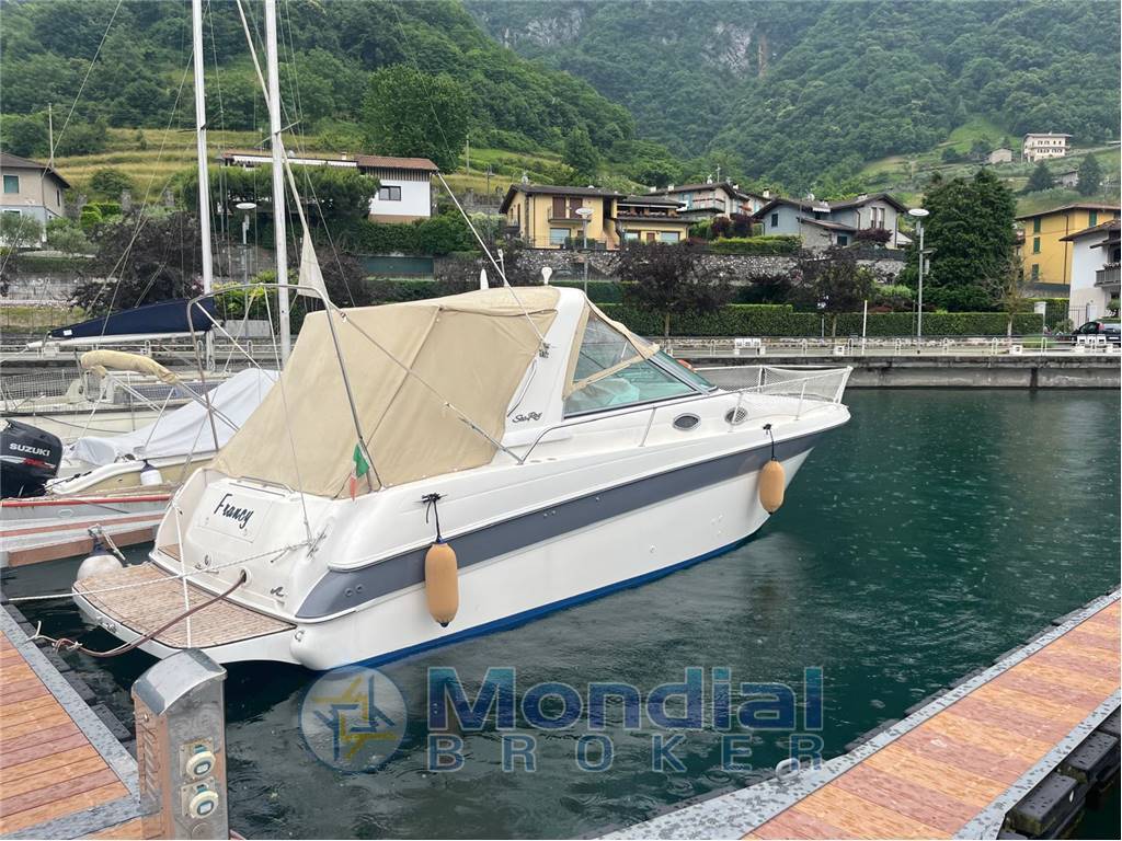 Sea ray 290 sundancer usato