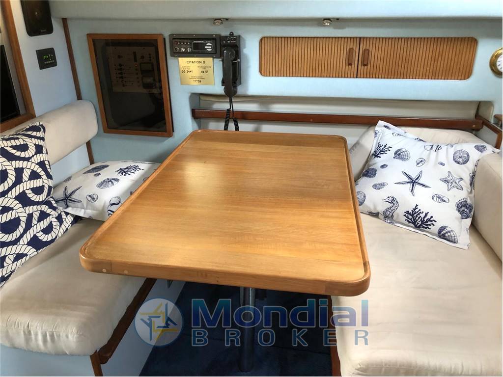 Sea ray 300 da usato