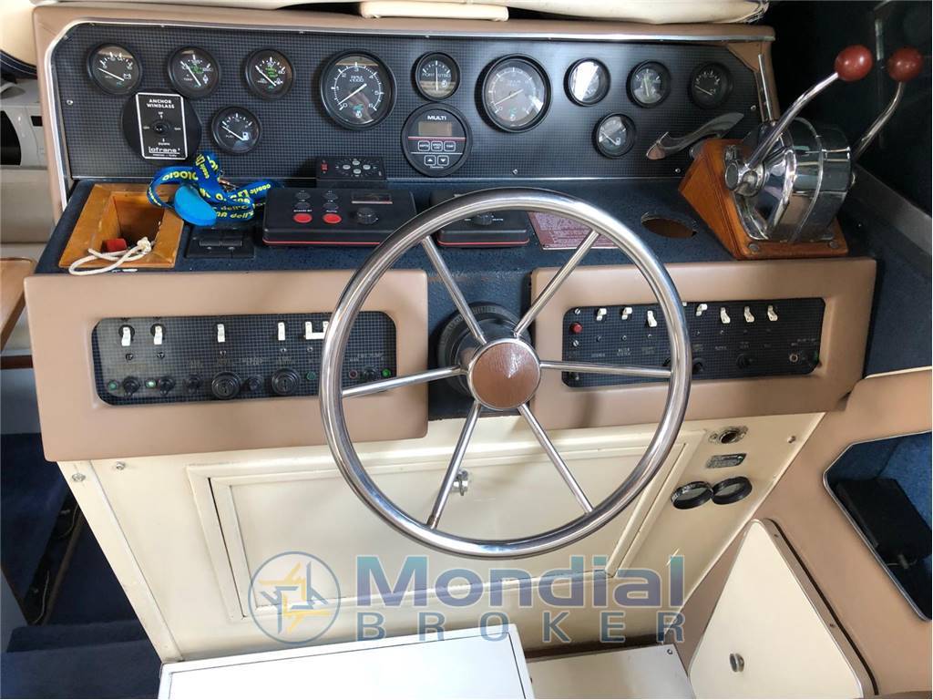 Sea ray 300 da usato