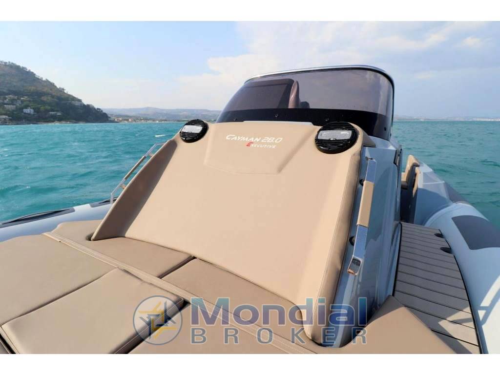 Ranieri Cayman 28 executive