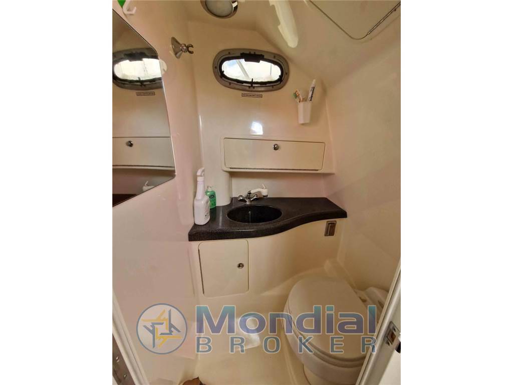 Boston whaler 305 conquest