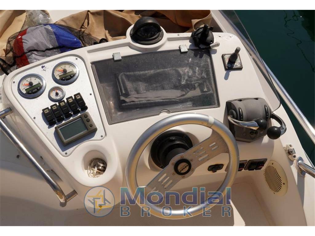 Sessa Dorado 36