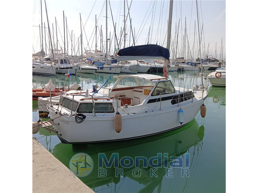Automarine Tortuga 27