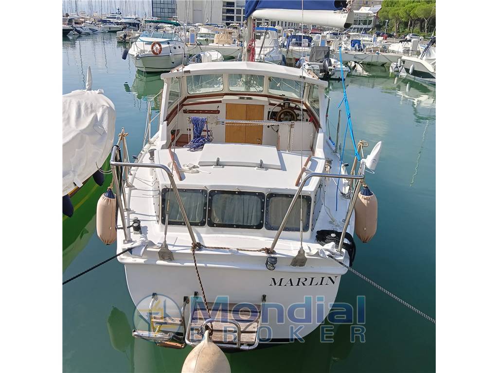 Automarine Tortuga 27