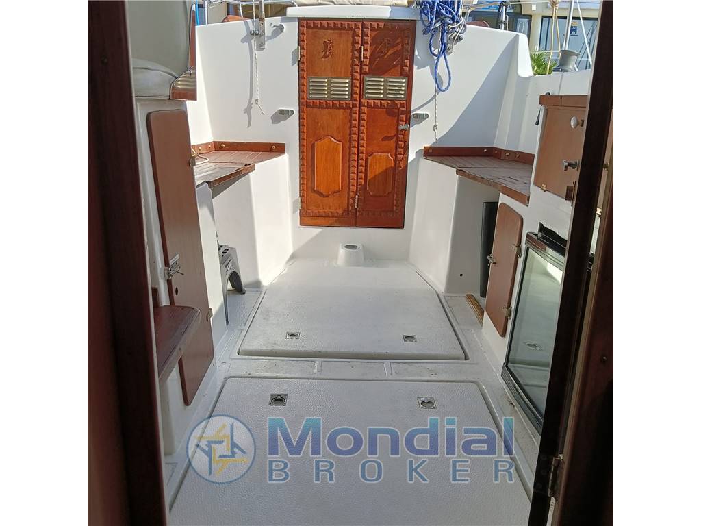 Automarine Tortuga 27