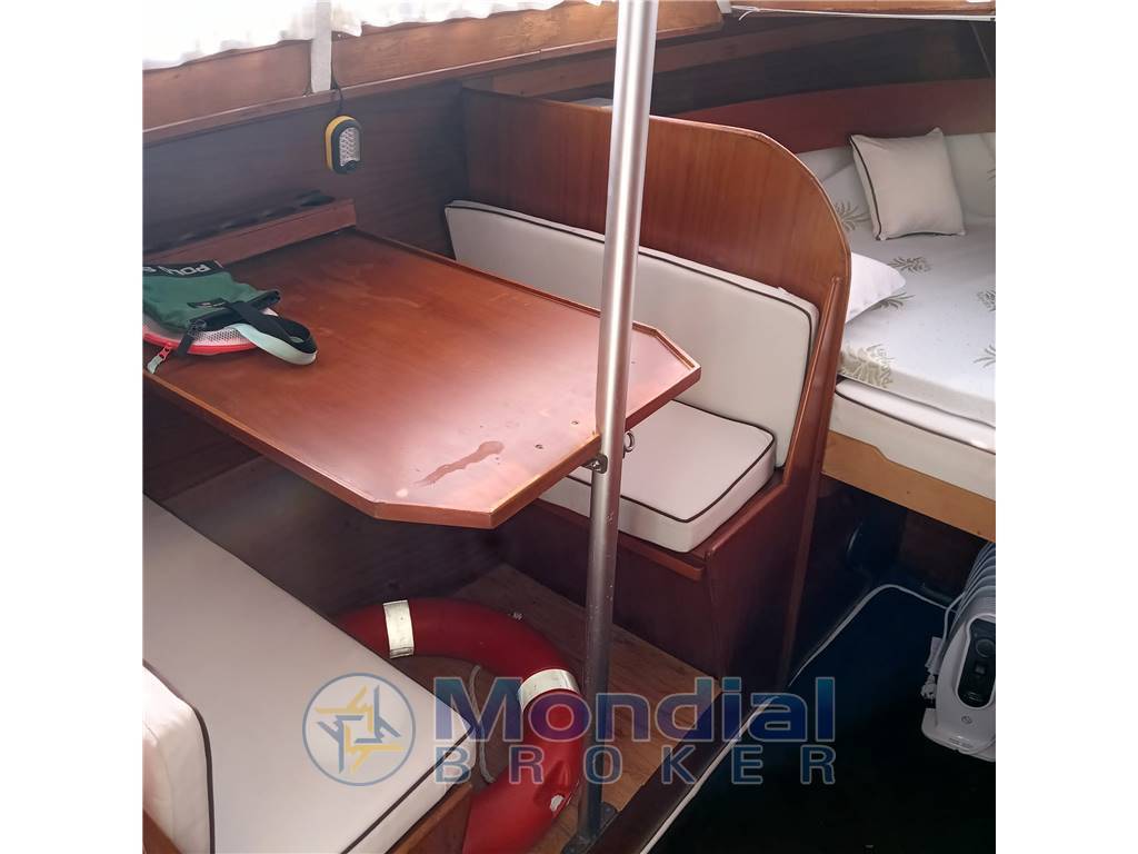 Automarine Tortuga 27