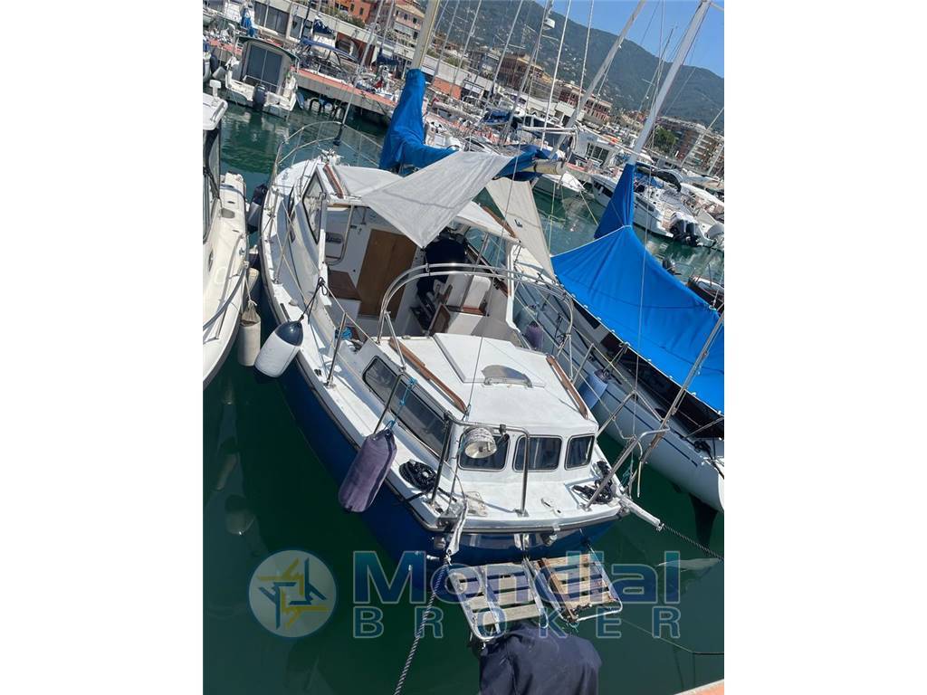 Automarine Tortuga 27