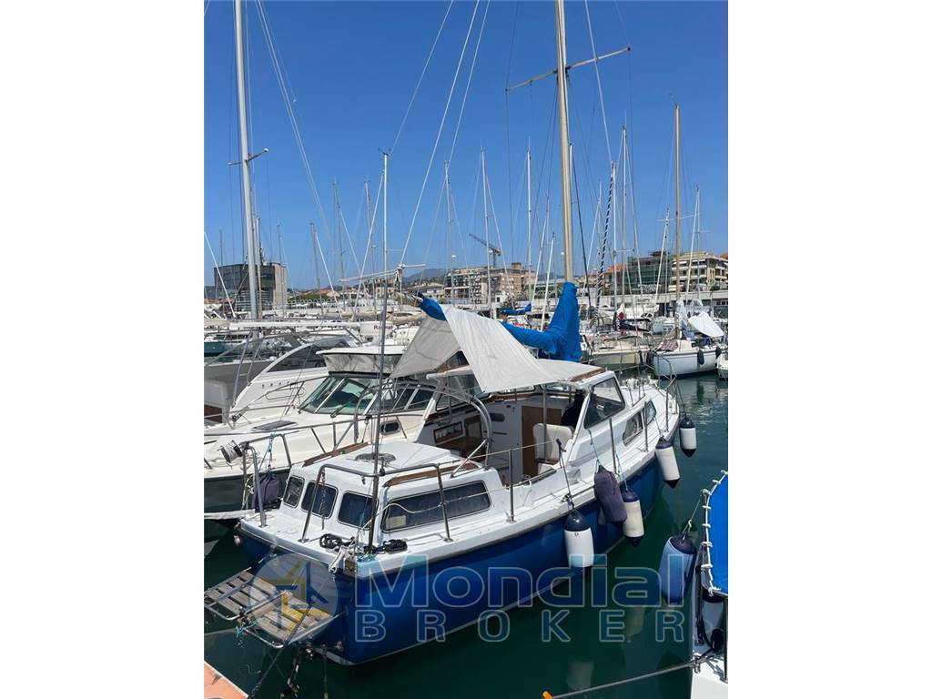 Automarine Tortuga 27