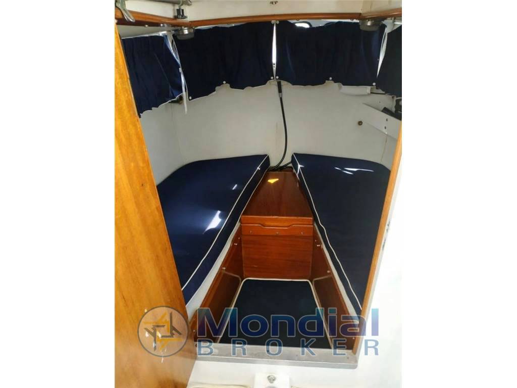 Automarine Tortuga 27