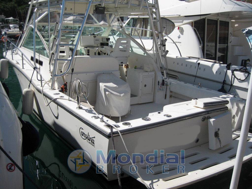 Carolina usa 28 classic