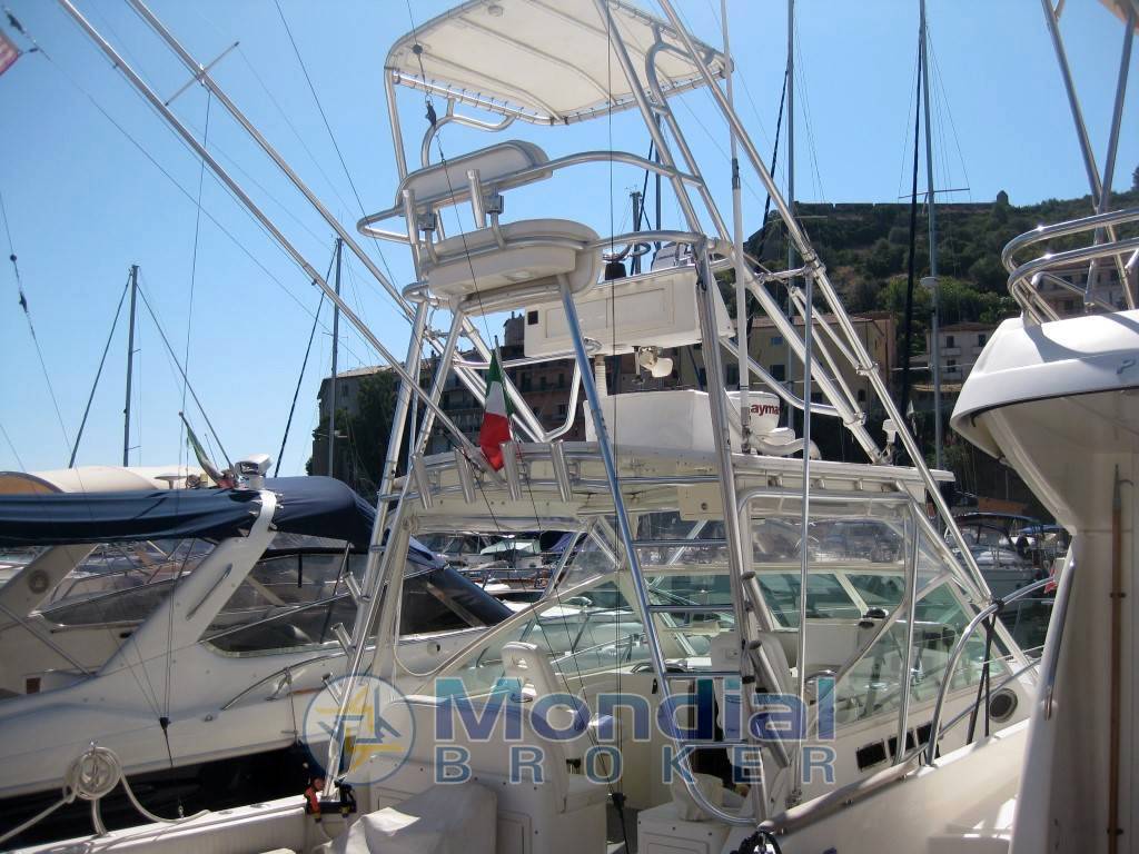 Carolina usa 28 classic