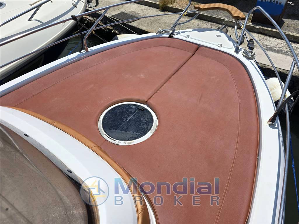 Ranieri Shadow 26