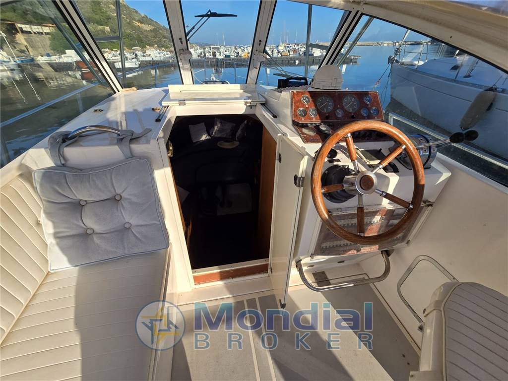 Polyform Triakis c 29