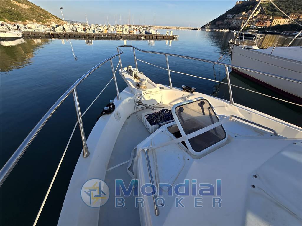 Polyform Triakis c 29
