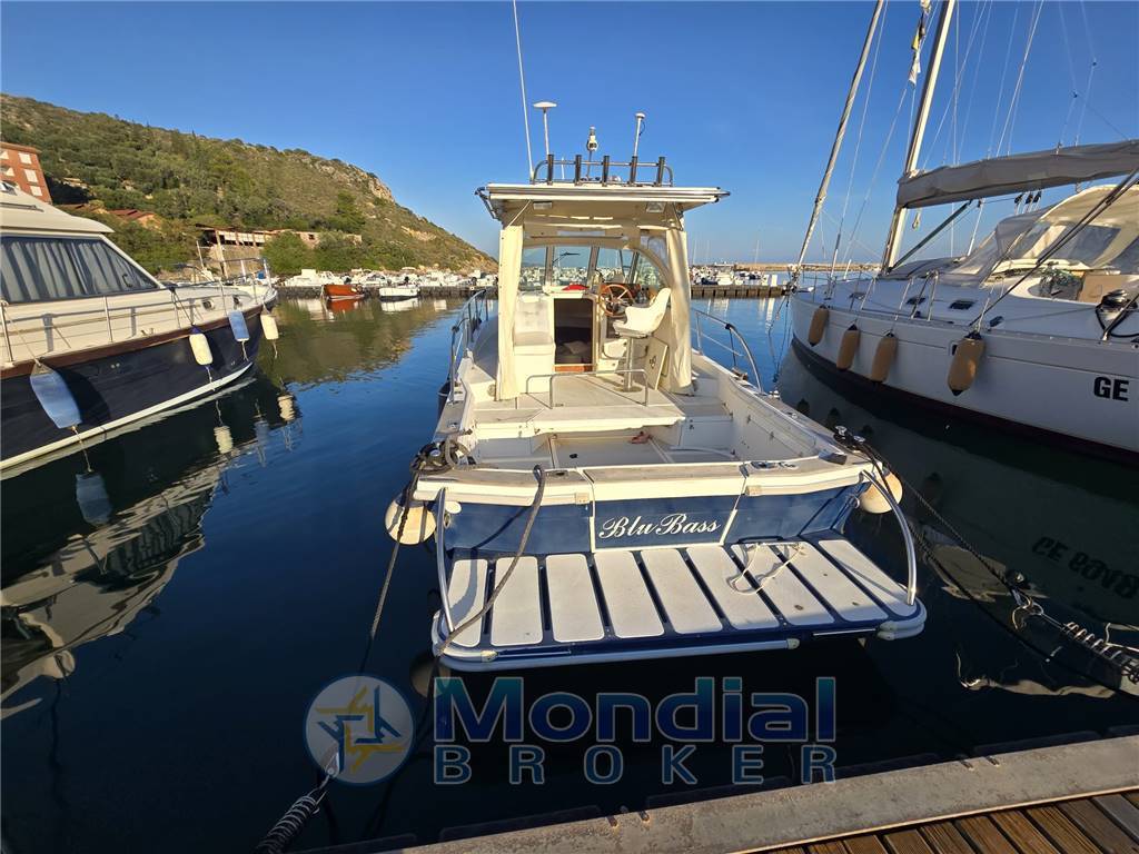 Polyform Triakis c 29