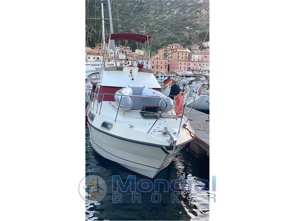 Sealine States man 305 fly