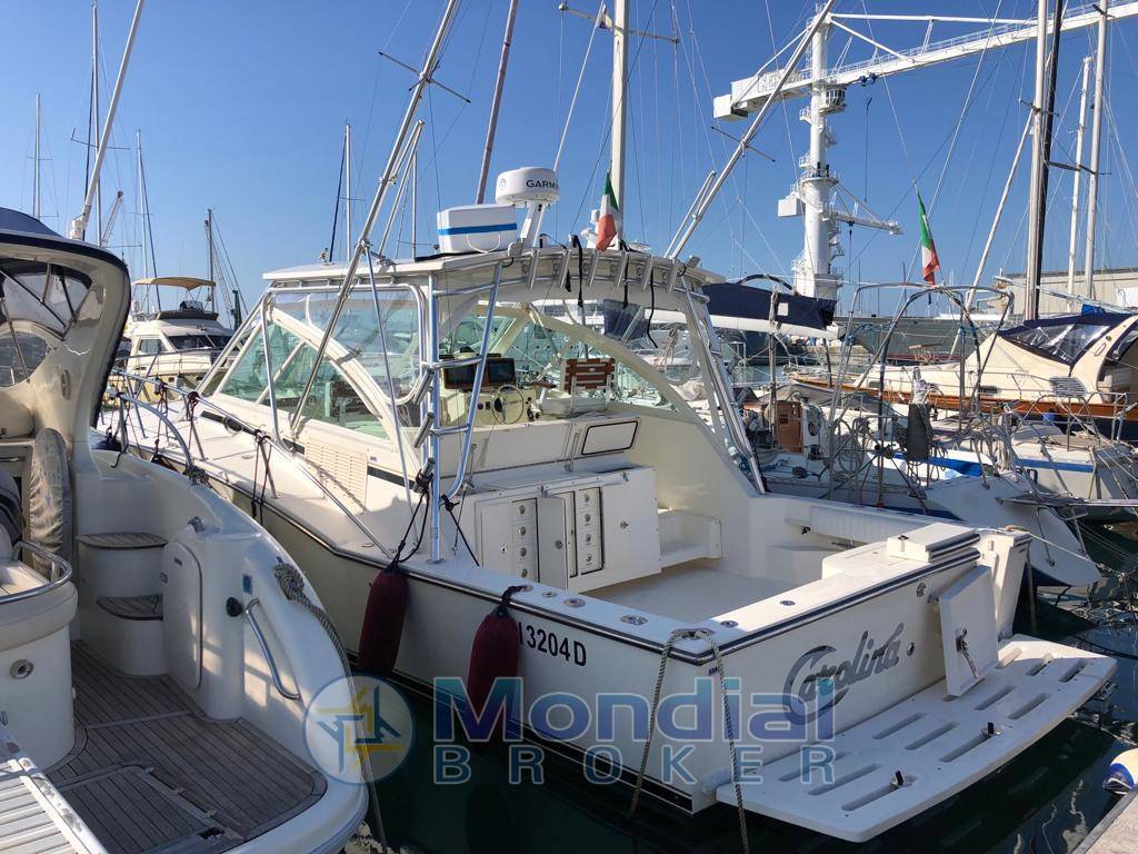 Carolina classic 35
