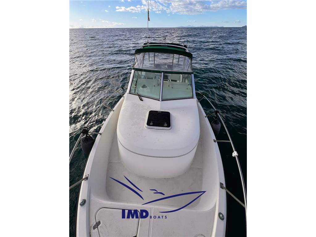 Pursuit 28 wa