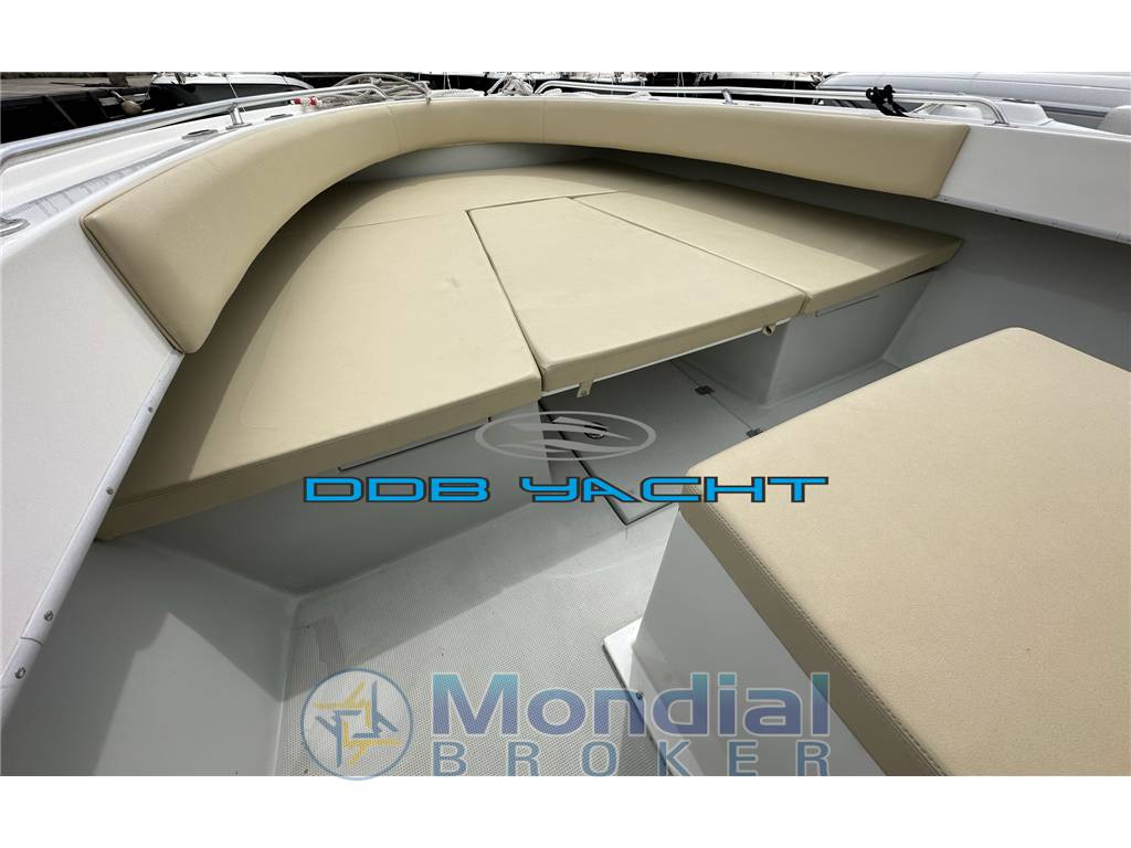 Dusky 33 open