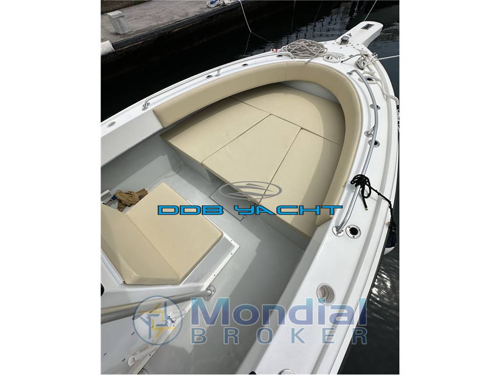Dusky 33 open