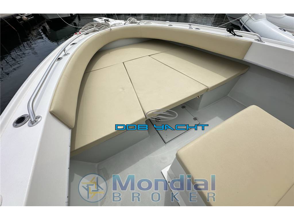 Dusky 33 open