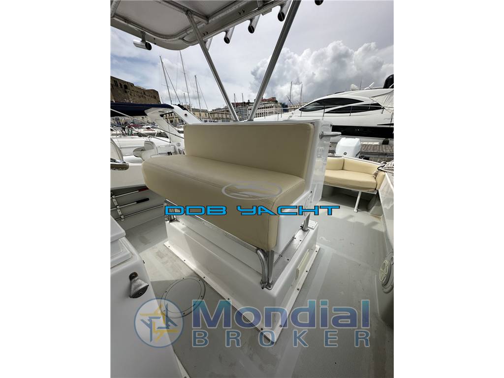 Dusky 33 open