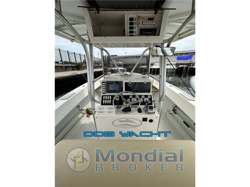 Dusky 33 open