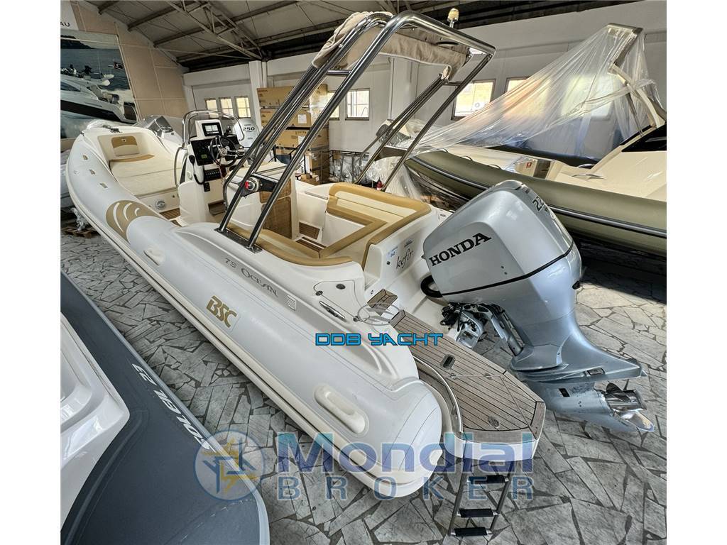 Bsc 73 ocean