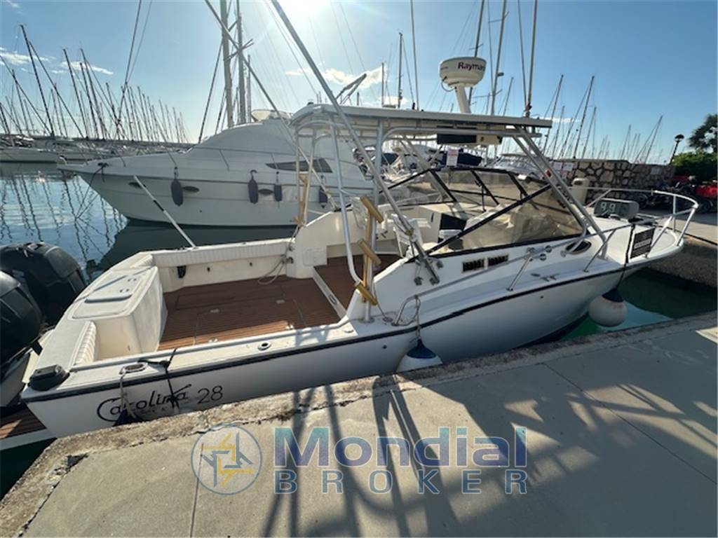 Carolina Classic 28