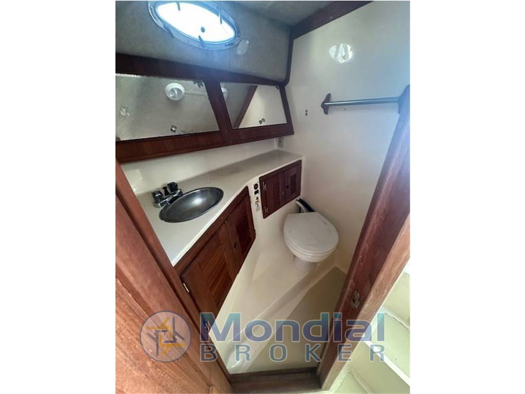 Carolina Classic 28