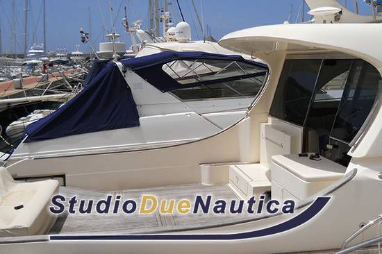 Mochi Dolphin 51