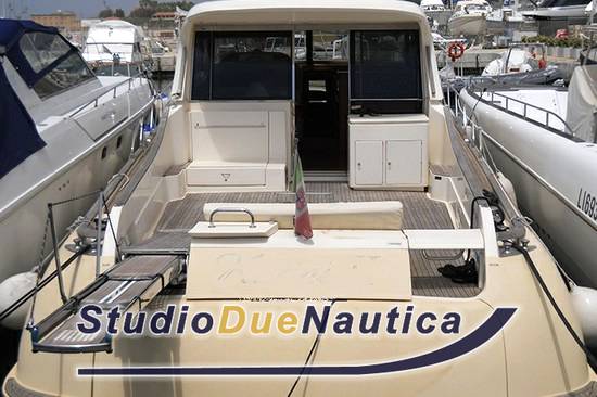 Mochi Dolphin 51