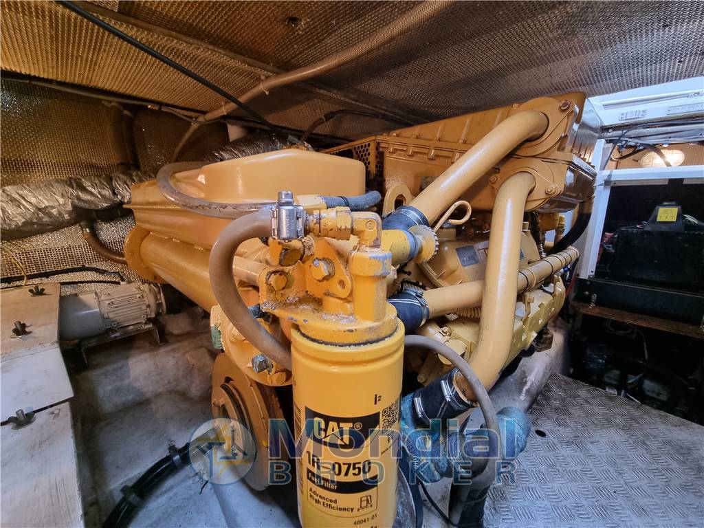 Rizzardi Cr 40 day