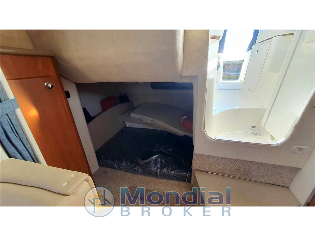 Bayliner 305