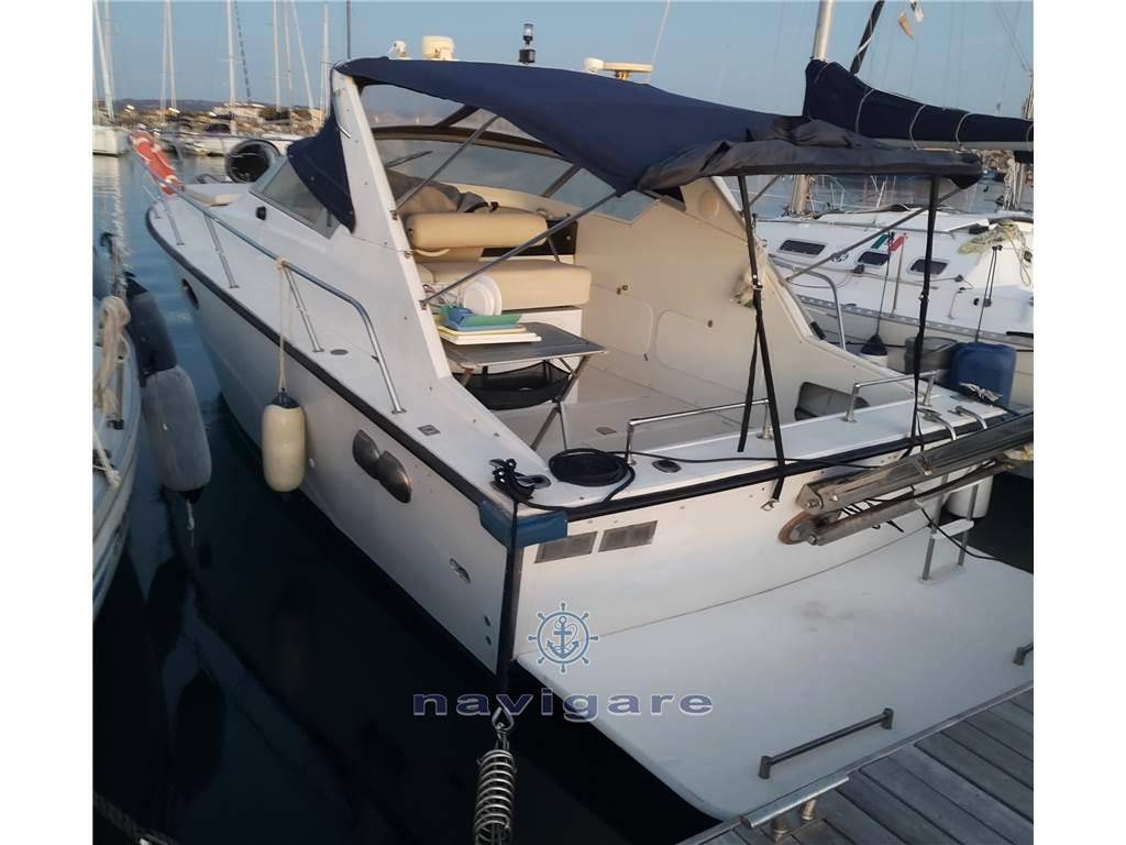 Fiart mare Aster 31