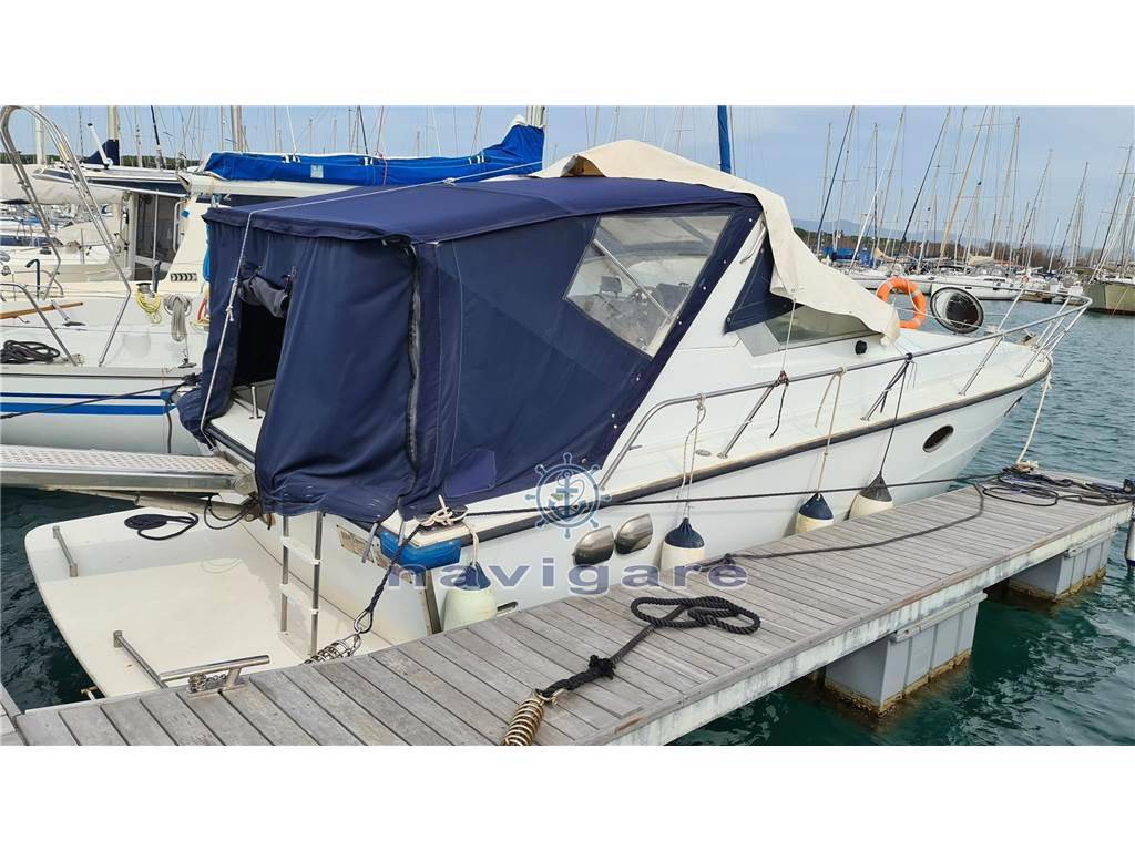 Fiart mare Aster 31