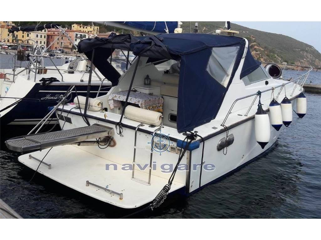 Fiart mare Aster 31