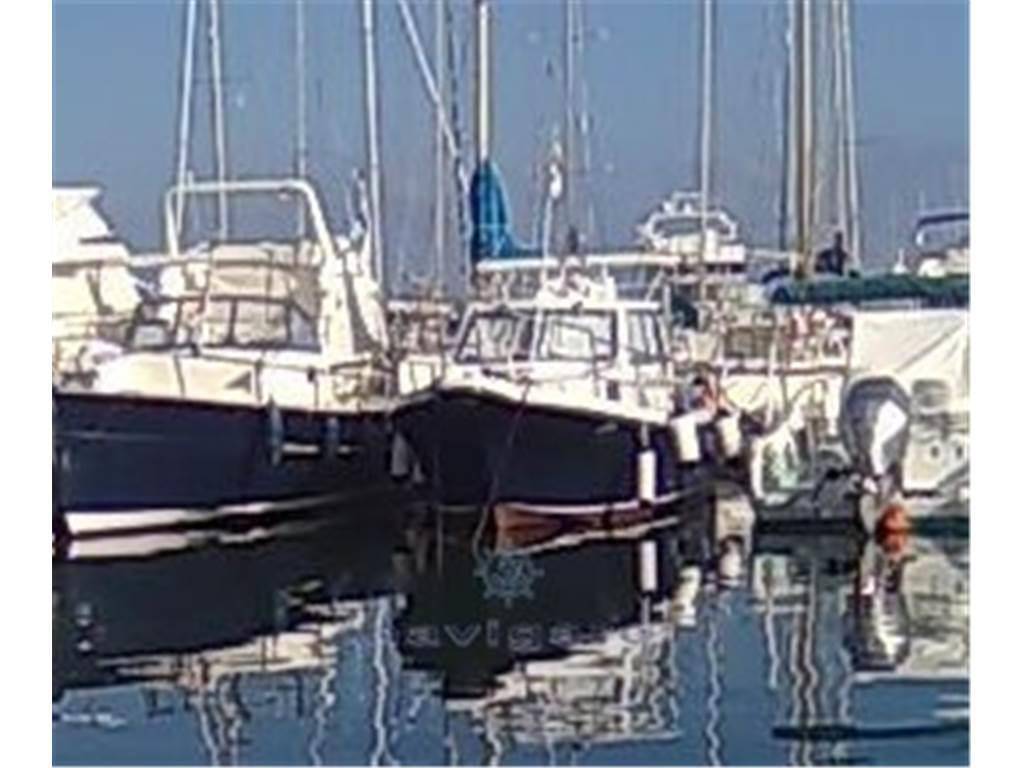 Parente Delfino 7.5 cabin