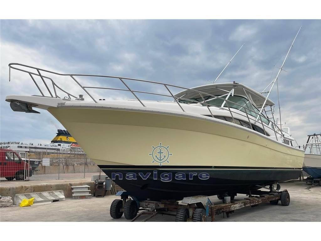 Bertram yacht 360 moppie