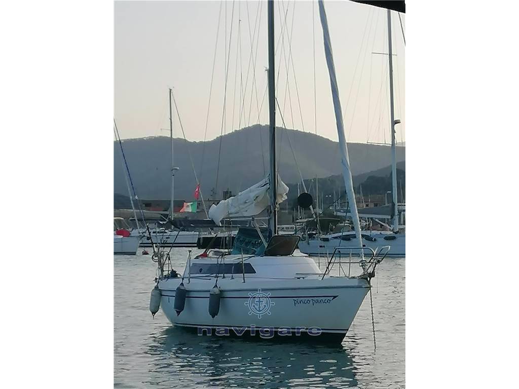 Zuanelli Miller 31