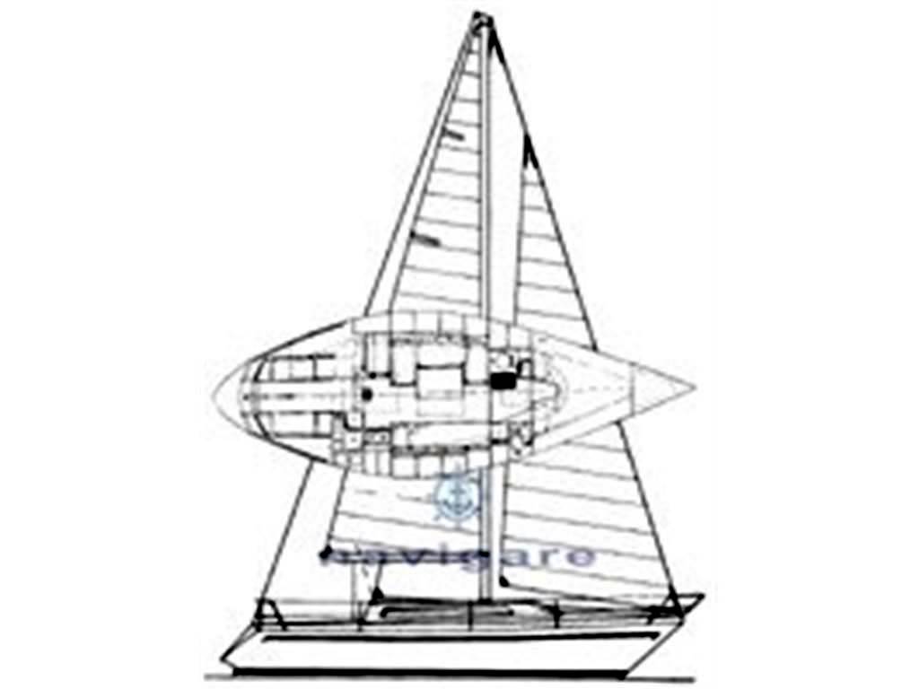 Zuanelli Miller 31