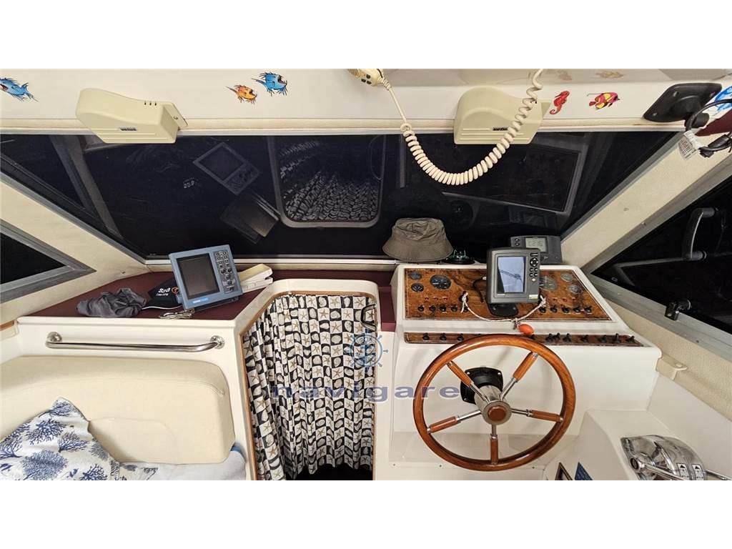 Plastik Space 310 cruiser