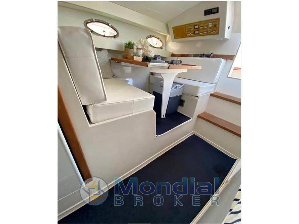 Tornado 38' classic