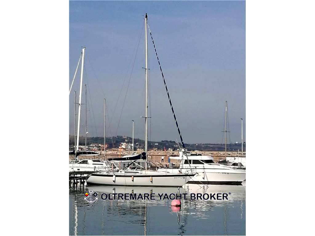 Oyster marine Oyster 37