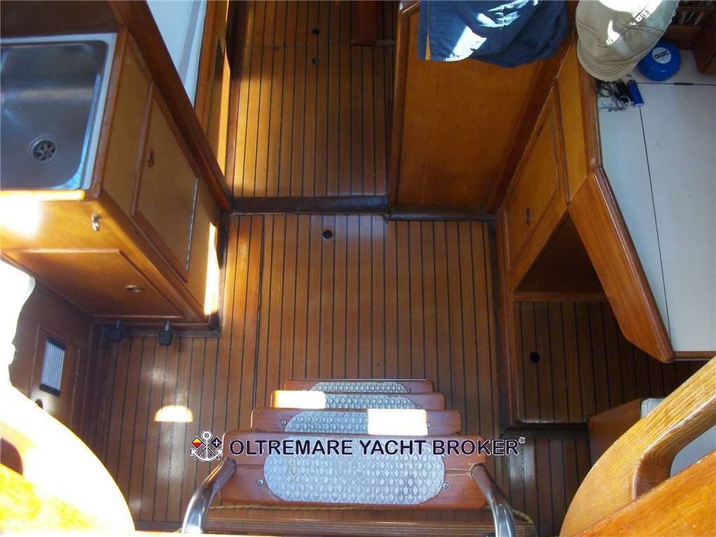 Oyster marine Oyster 37