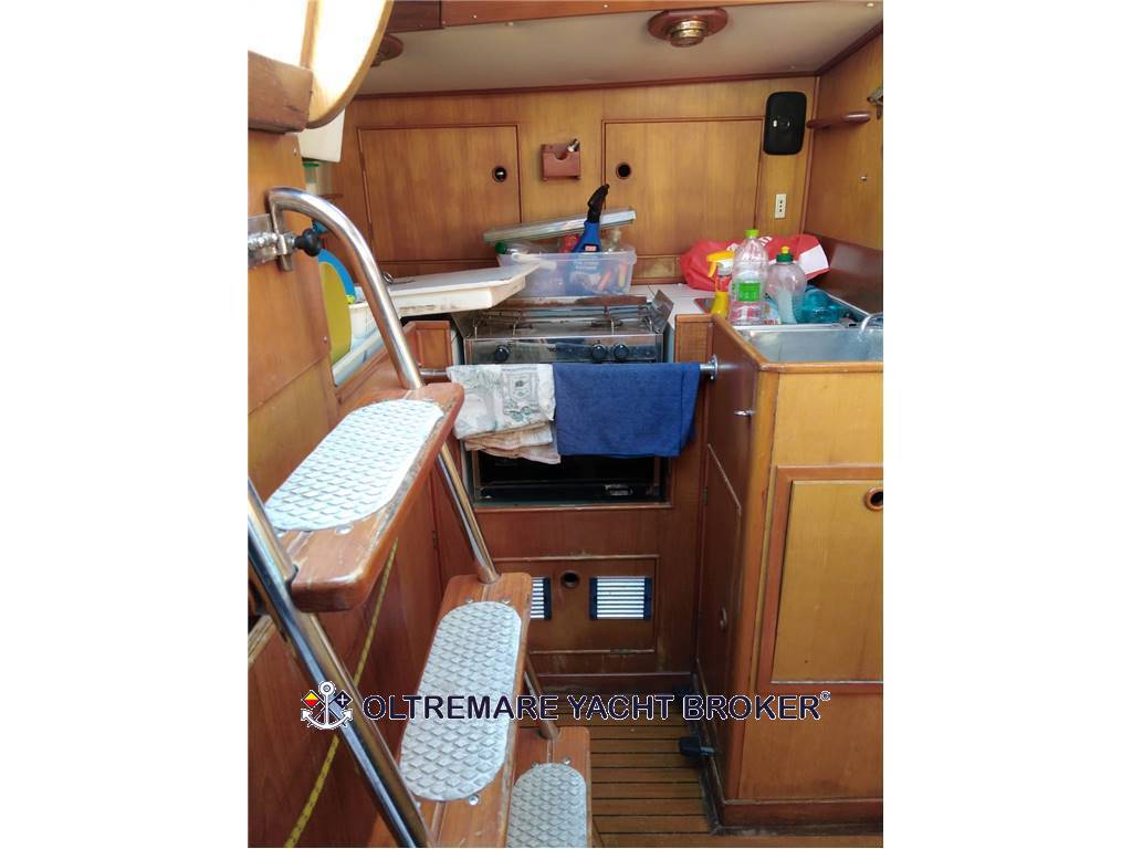 Oyster marine Oyster 37